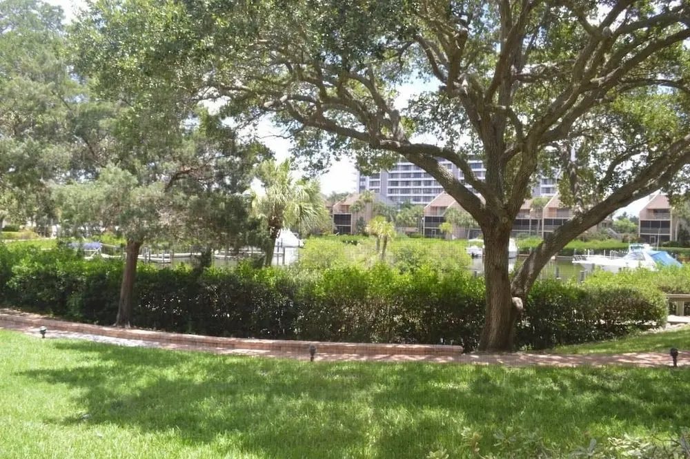 Cove II 310F 2 Bedroom Condo By Midnight Cove II