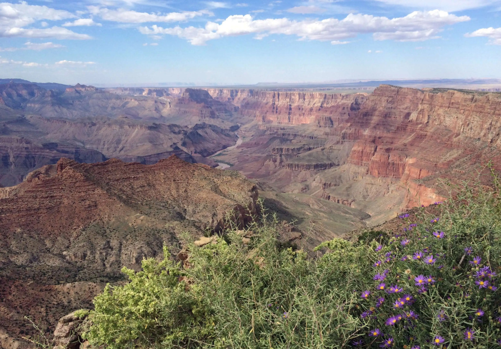 Grand Canyon Plaza Hotel-South Rim - 4