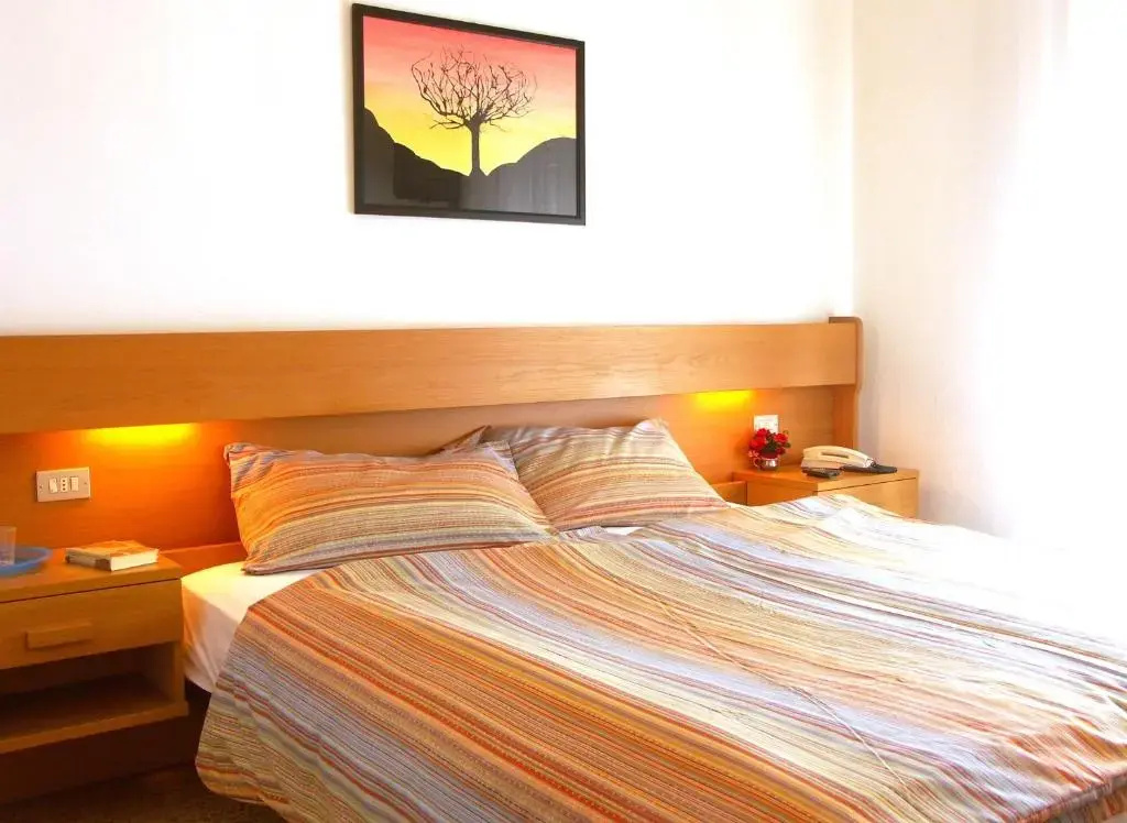 Standard Double room (full double bed)