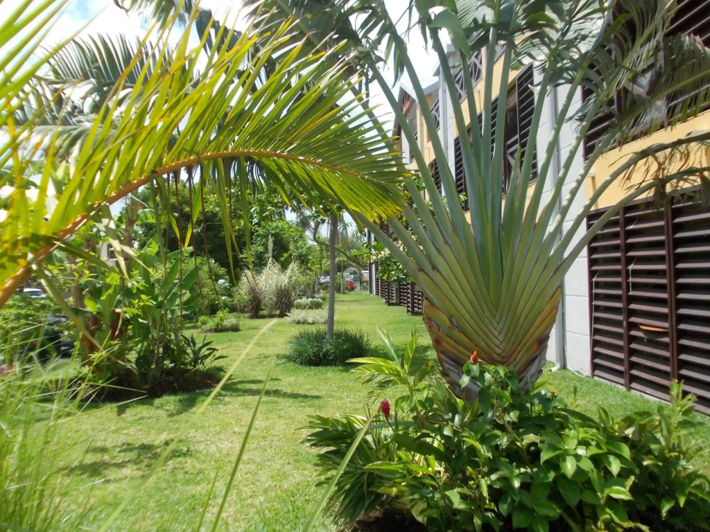 Residence Tropic Appart'hotel - фото 16
