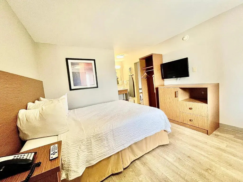 Double Suite (full double bed)