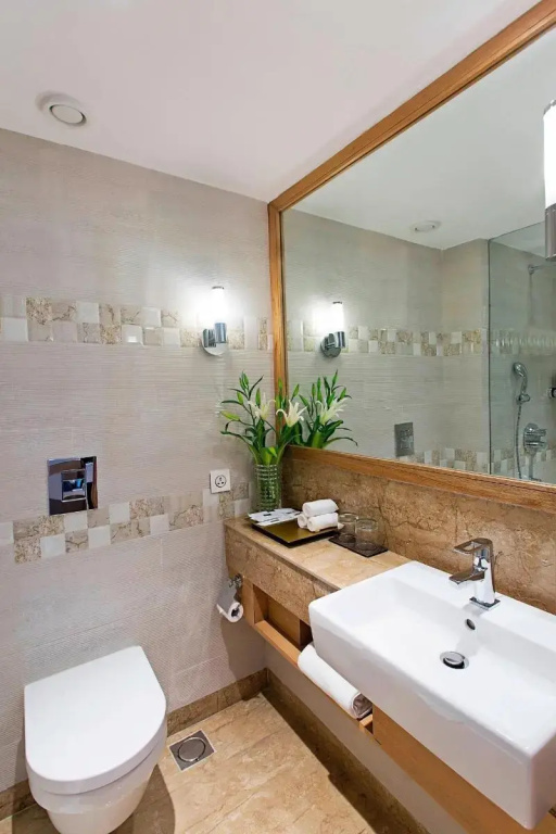 Standard Double room with city view (twin beds)