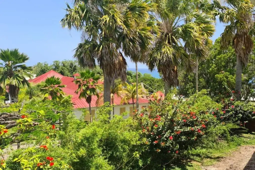 Studio Alonya - Piscine Marinotel