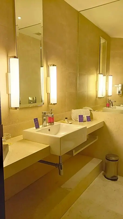 Marasa Sarovar Premiere Tirupati - Chambres