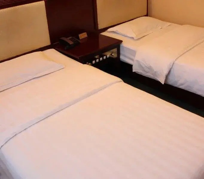 Xiangyang Shanshui Wenjing Hotel - Général