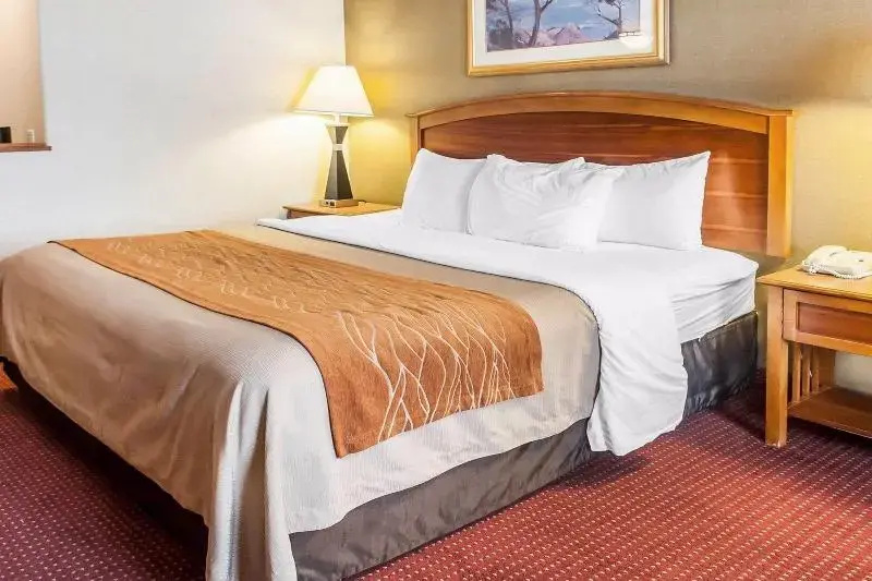 Comfort Inn & Suites I-25 Near Spaceport America - Chambres