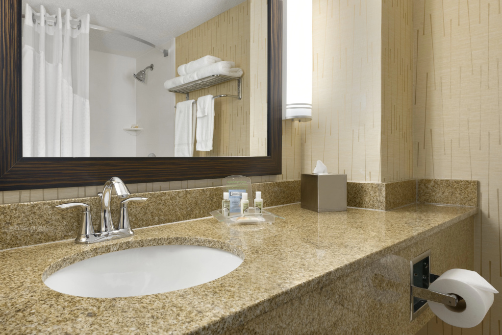 Holiday Inn & Suites Duluth Downtown by IHG - Général