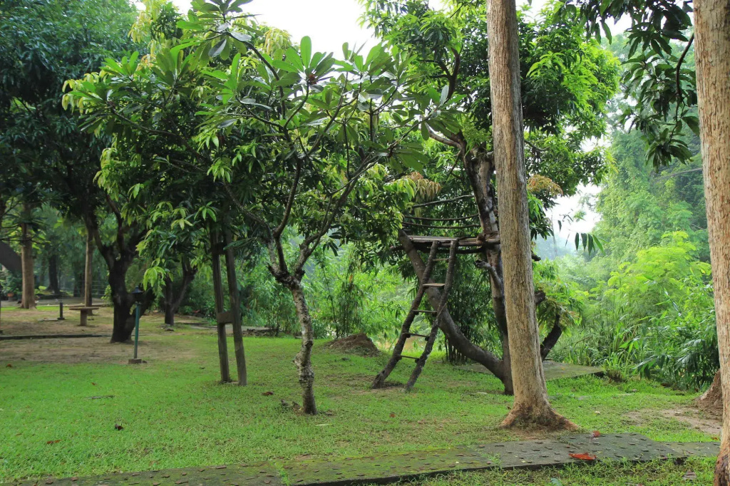 Dambulu Oya Family Park - Général