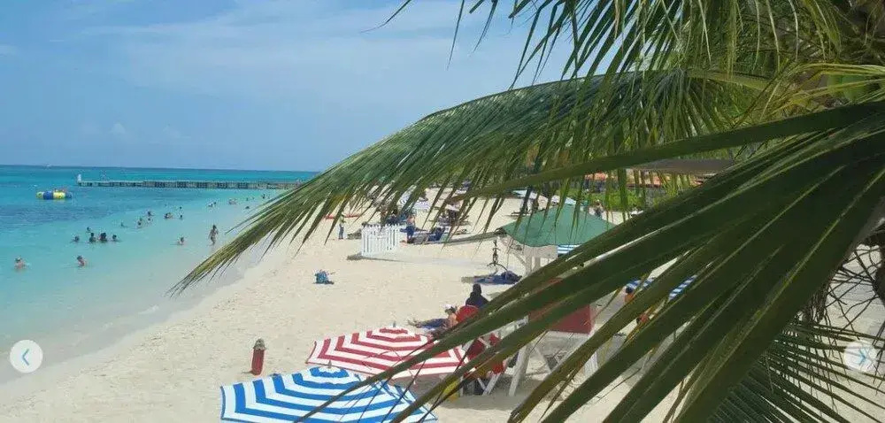 Beach & Waterfront