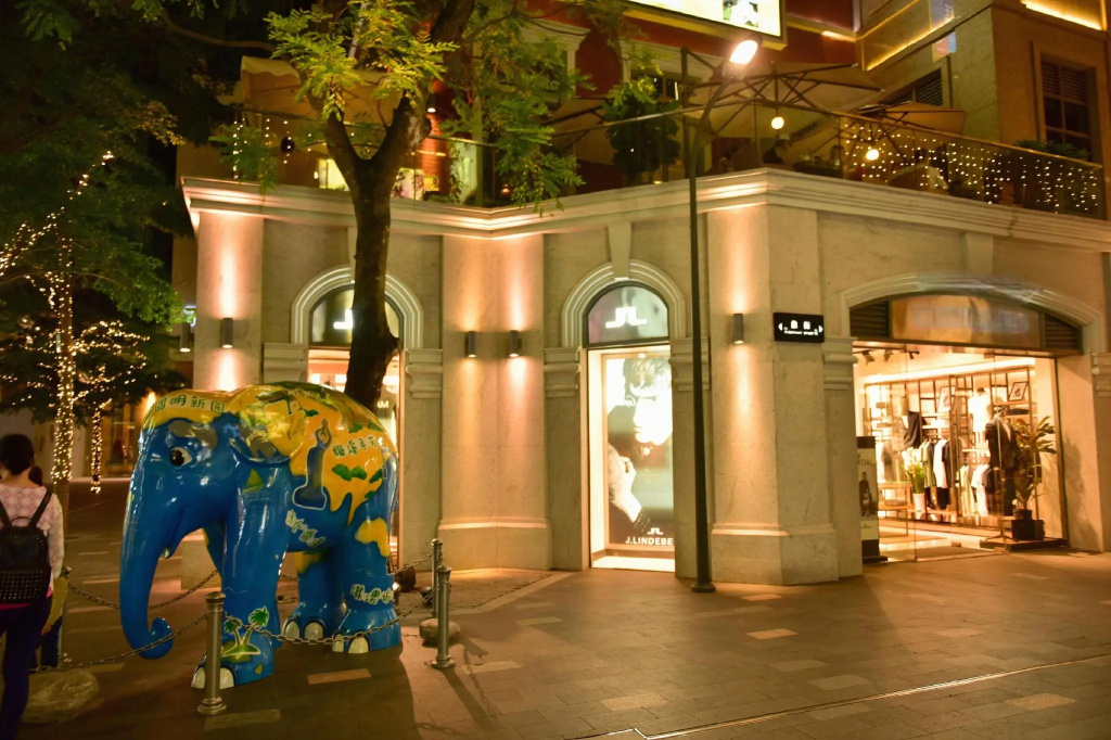 Phoenix Valley Holiday Hotel - Général