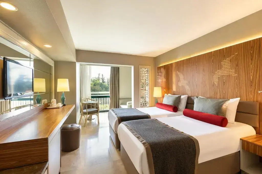 Standard with french balcony Double room with land view (twin beds)