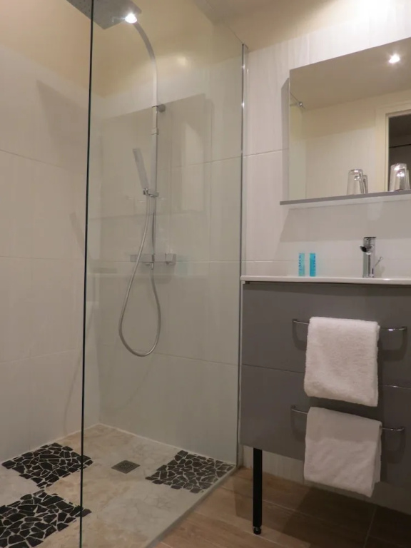 Standard Double room with park view (twin beds)
