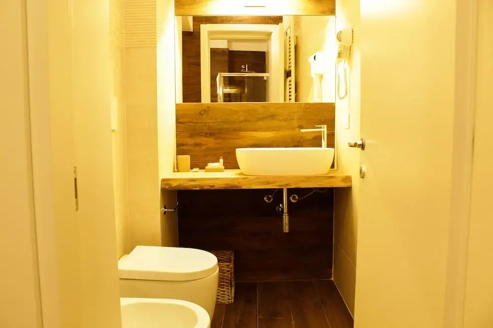 Standard Double room (full double bed)