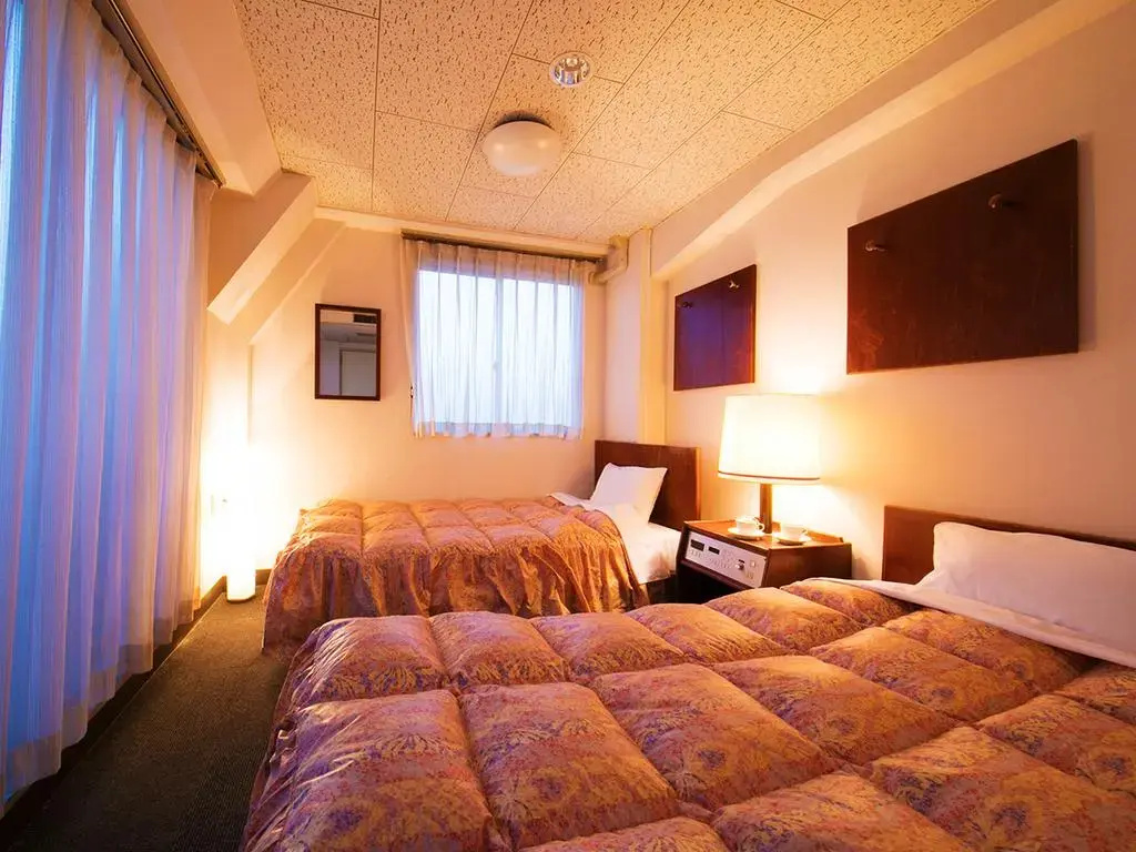 Standard Double room (twin beds)