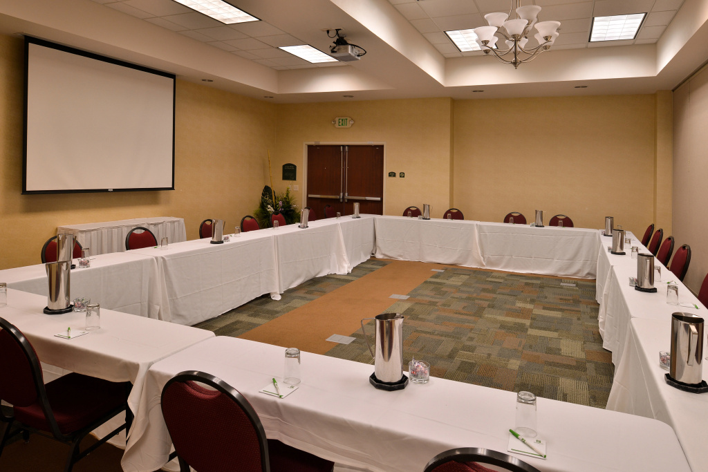Holiday Inn Madison at The American Center by IHG - Général