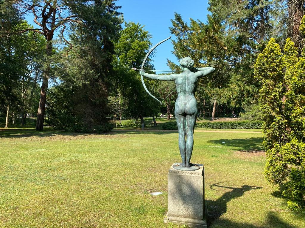 Image 15