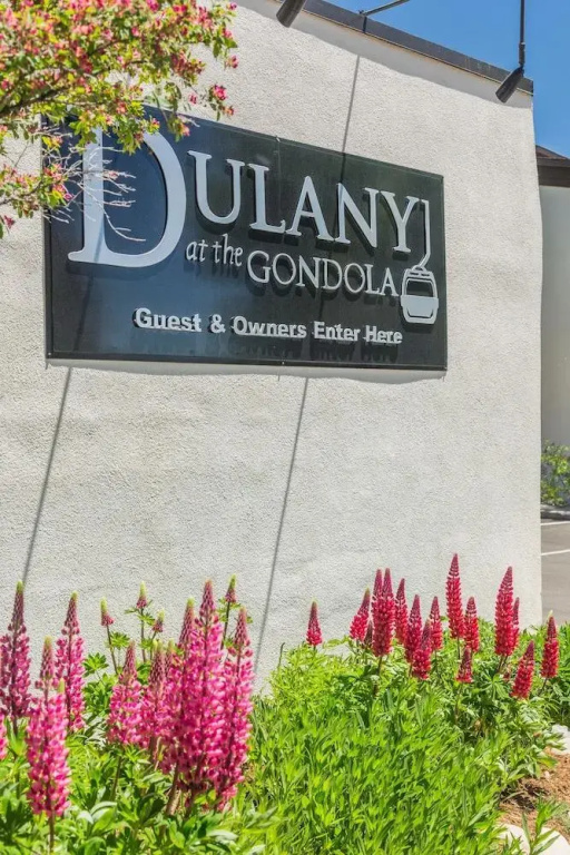 Dulany 105