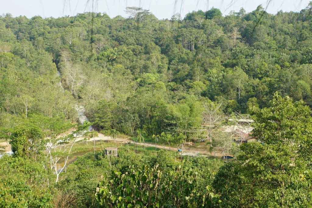 Samboja Lodge — 4