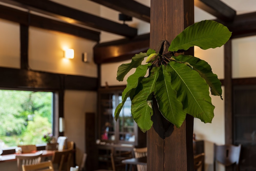Guest house & Cafe SOY 사진 27