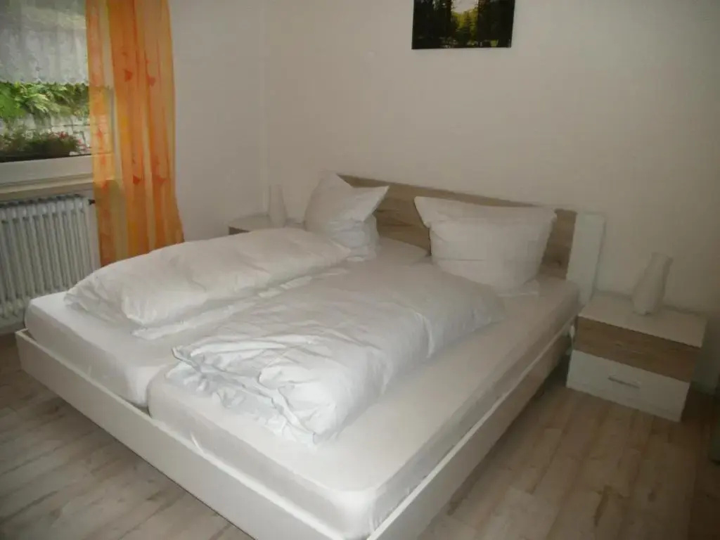 1 Bedroom Apartment with balcony