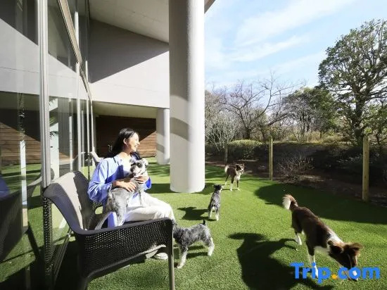 Yururi Atami With Dogs in Atami