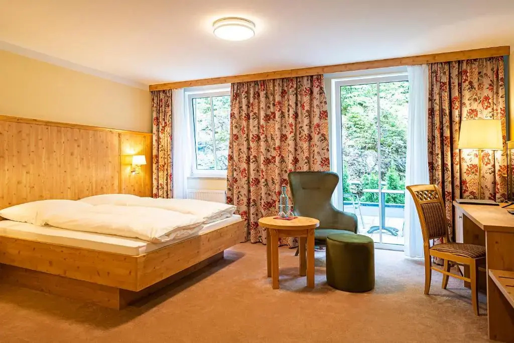 Standard Double room (full double bed)