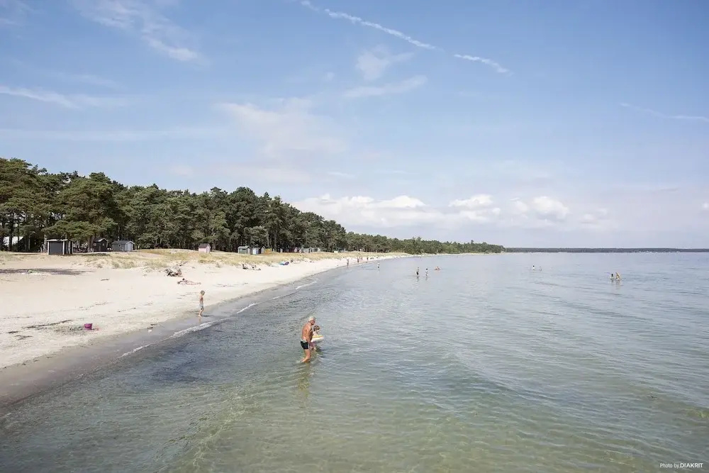 Beach & Waterfront