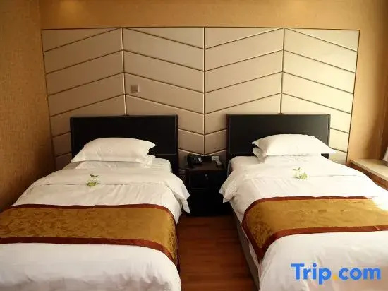 Deluxe Double room (twin beds)