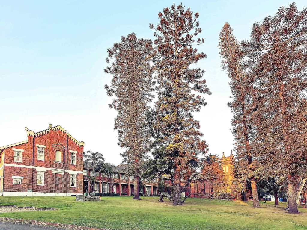 Mercure Maitland Monte Pio - Général