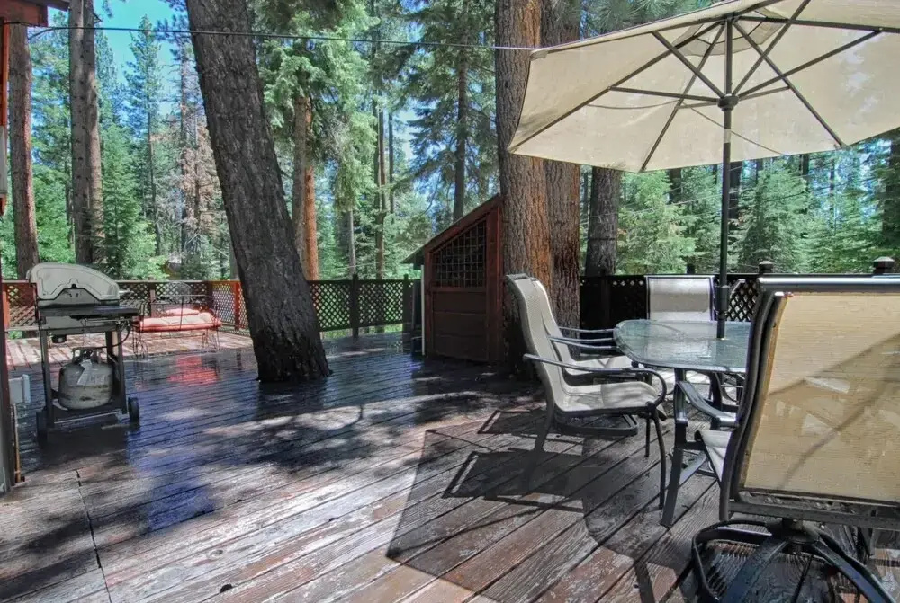 The Bernstein Bear Cabin