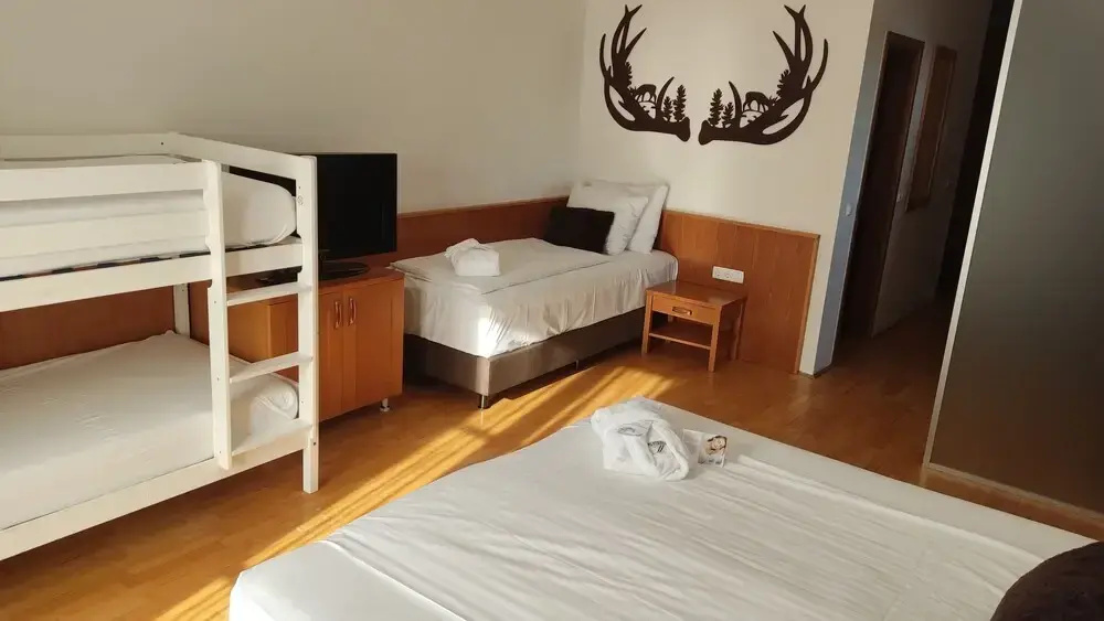 Pohorje Village Wellbeing Resort – Wellness & Spa Hotel Bolfenk - Chambres