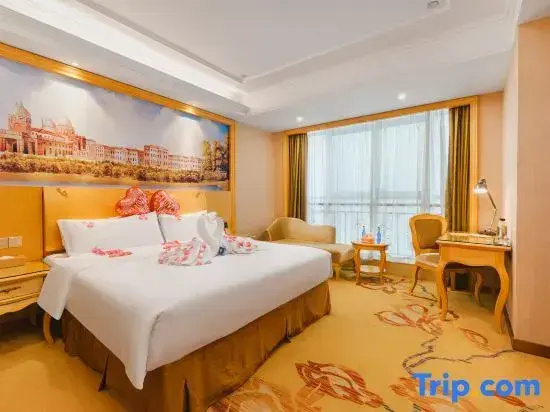 Vienna Hotel Guangxi Nanning Changhu Road Branch - Chambres