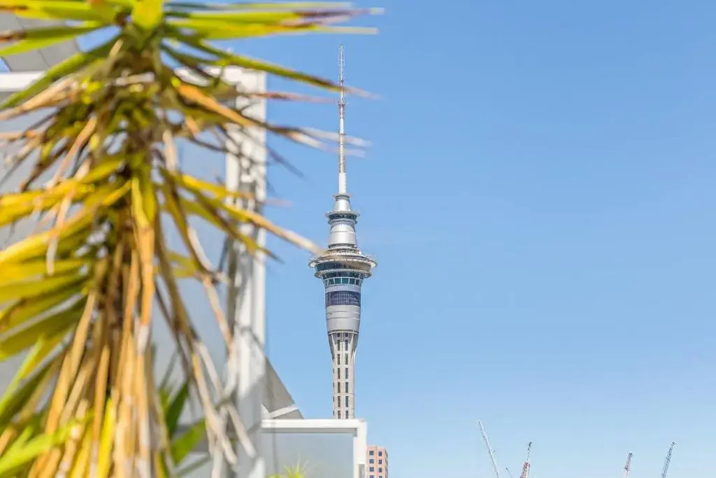 Luxury 3Br 1.5 Bath Penthouse With Fabulous Views