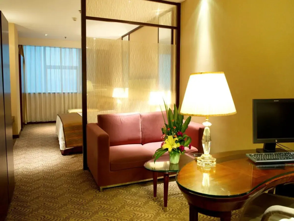 Standard Double room with city view (full double bed)
