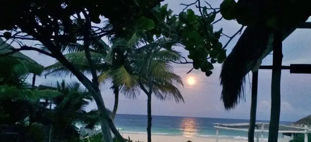 Beach & Waterfront