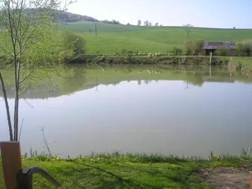 Rybník Prokop