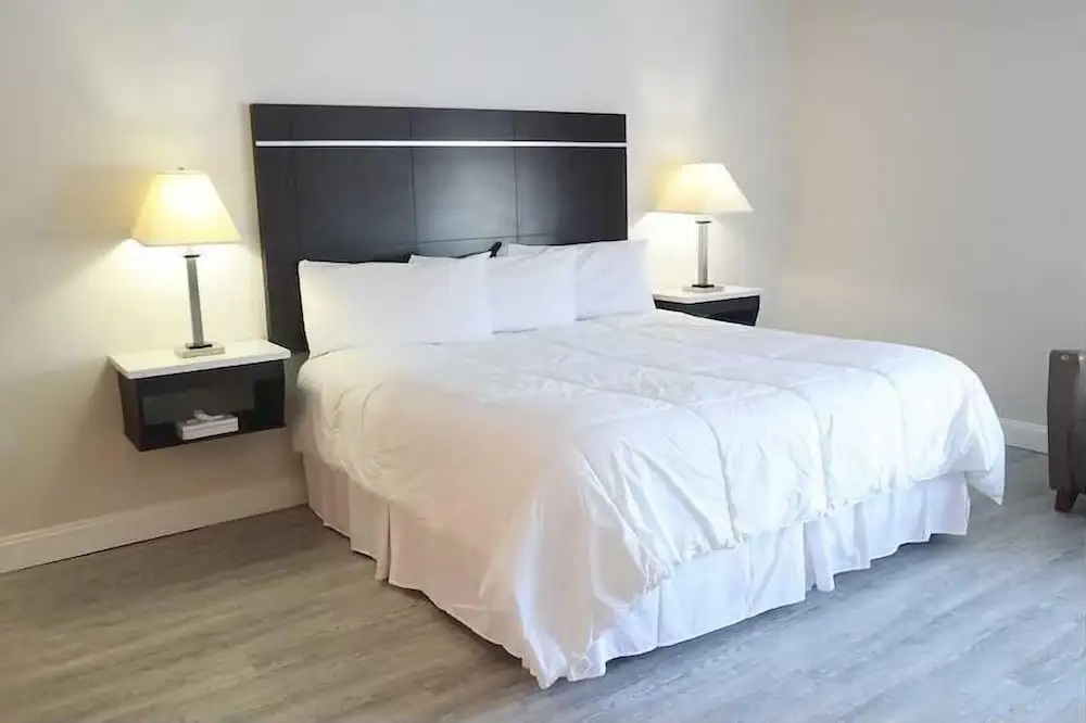 The Shore Club - Chambres
