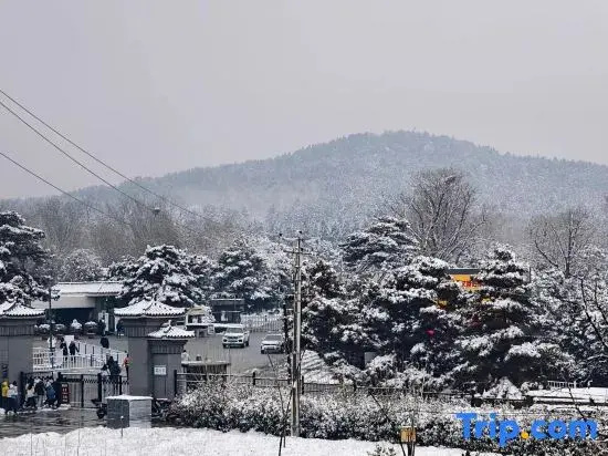Guanshan Yue Courtyard Homestay