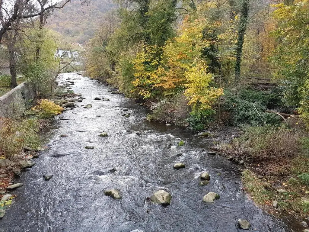 FeWo am Moorteich