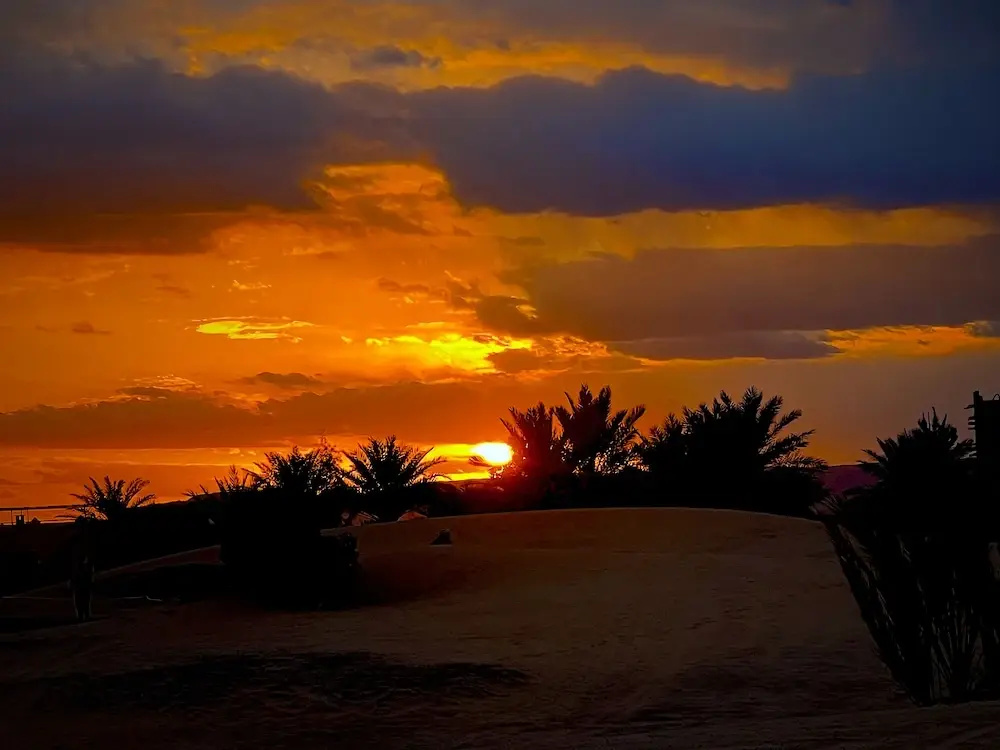 Riad Abqari Youssefi