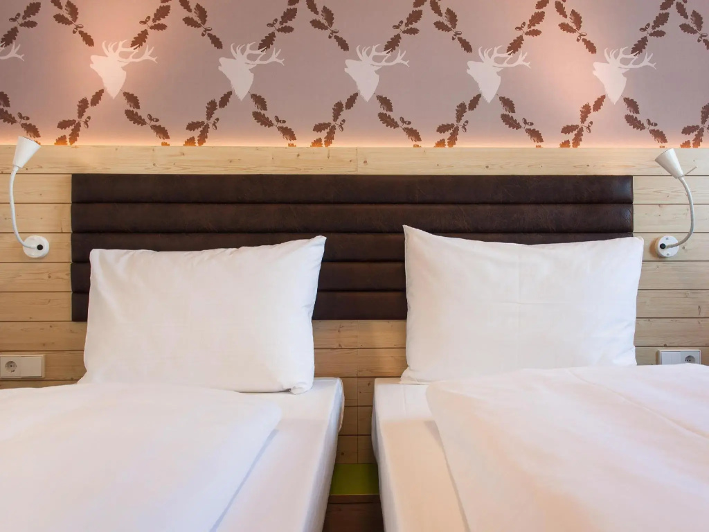 Standard Double room (twin beds)