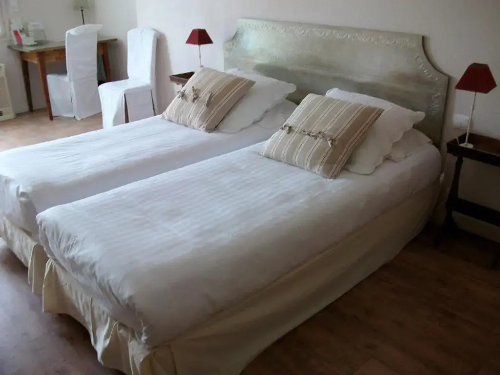 Standard Double room with garden view (twin beds)