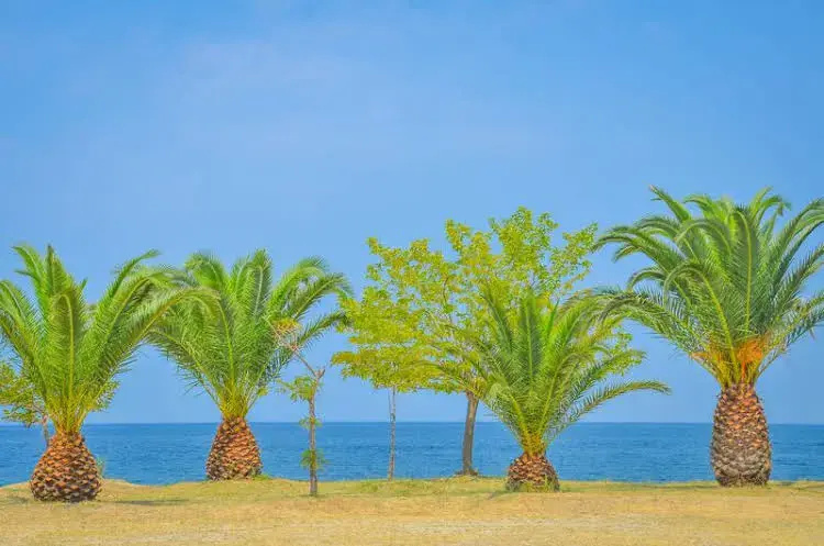 Beach & Waterfront