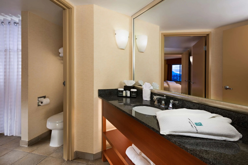 Embassy Suites by Hilton Phoenix Scottsdale - Général