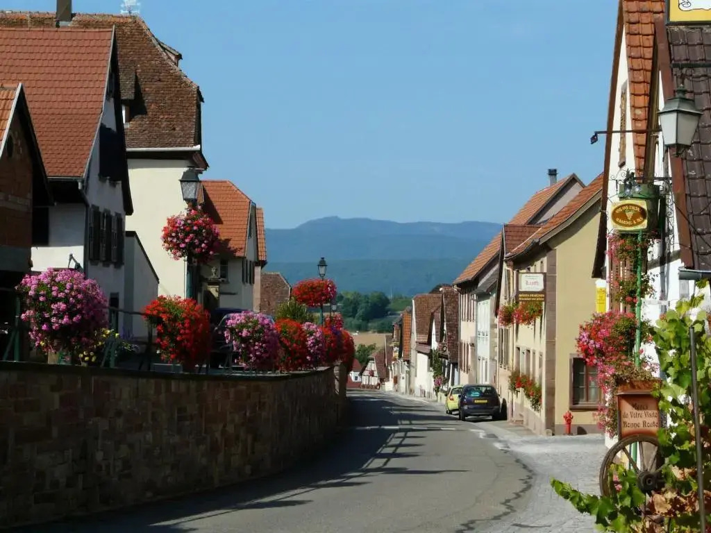 Hotel Et Spa Du Scharrach