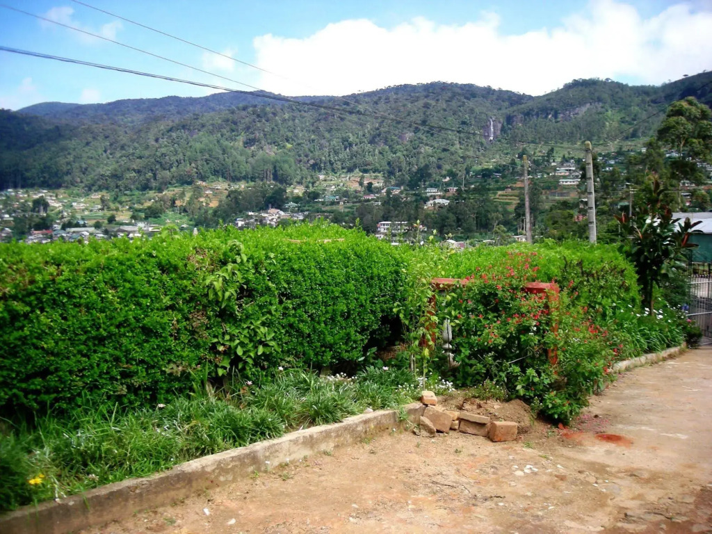 Image 9