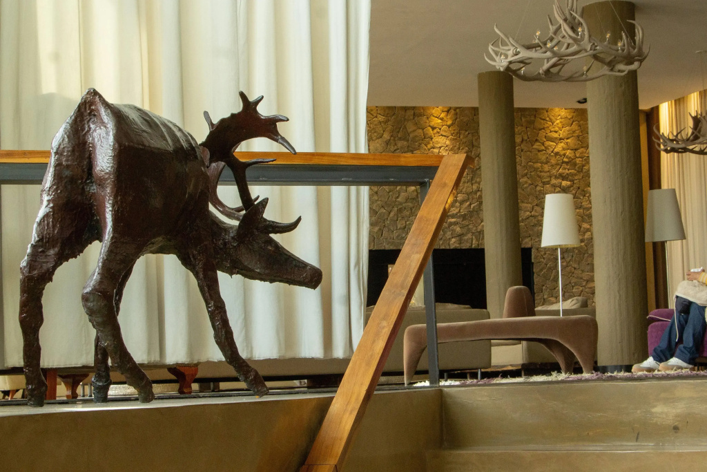 Esplendor by Wyndham El Calafate - Général