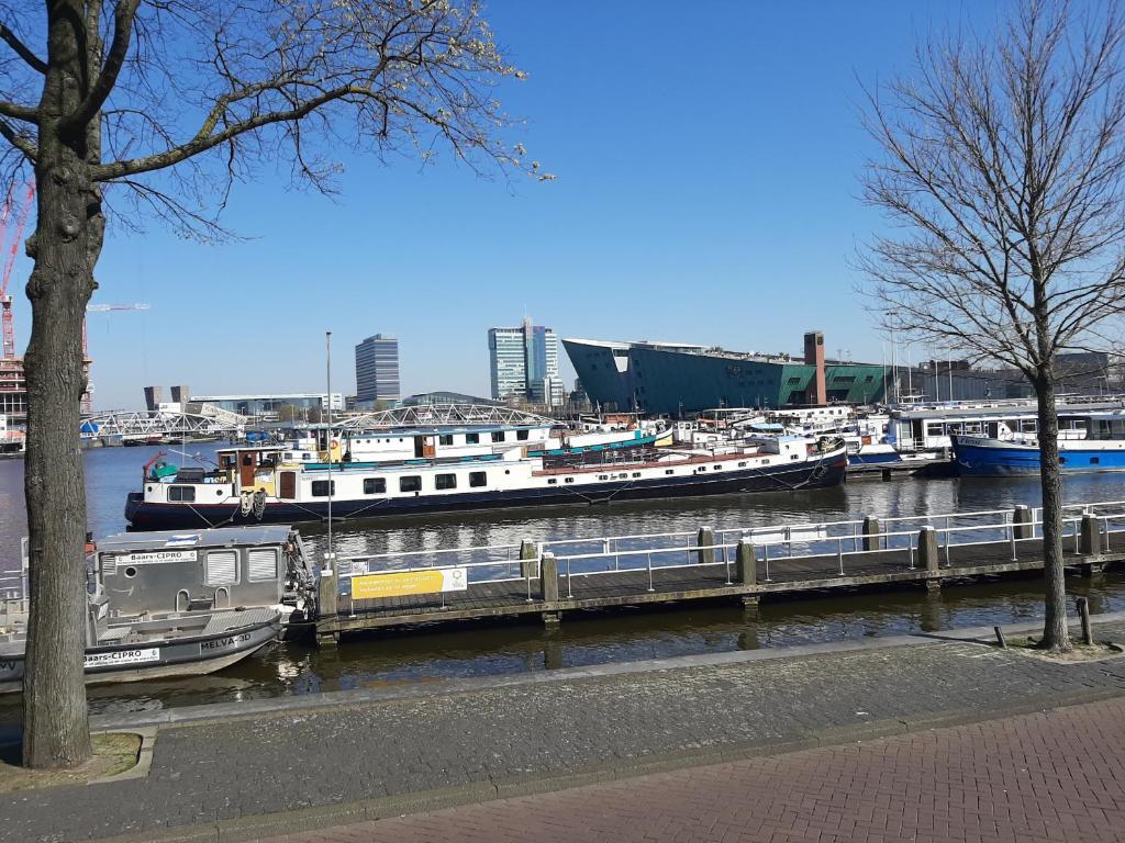 Botel Elodie image