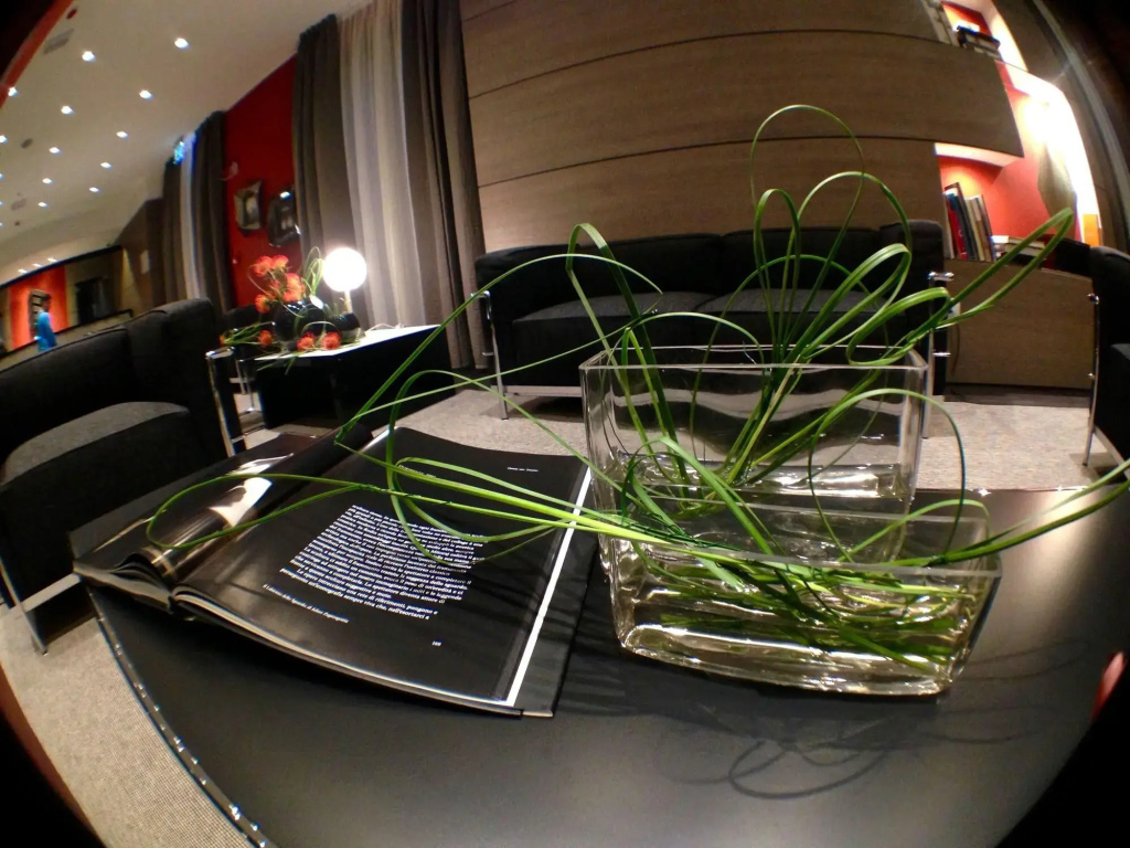 Hotel photo 12