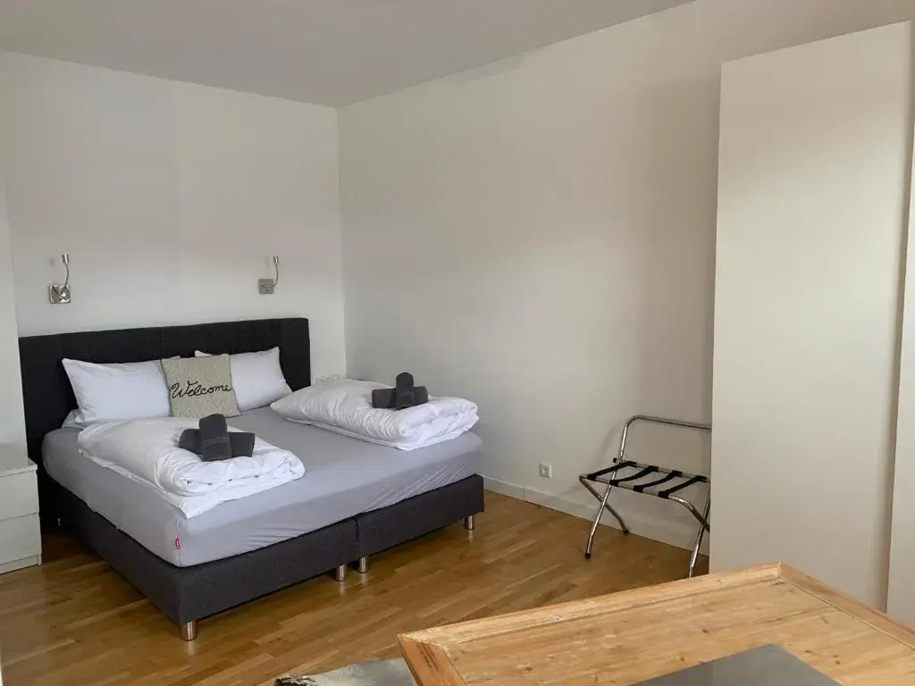 Standard Double room (full double bed)